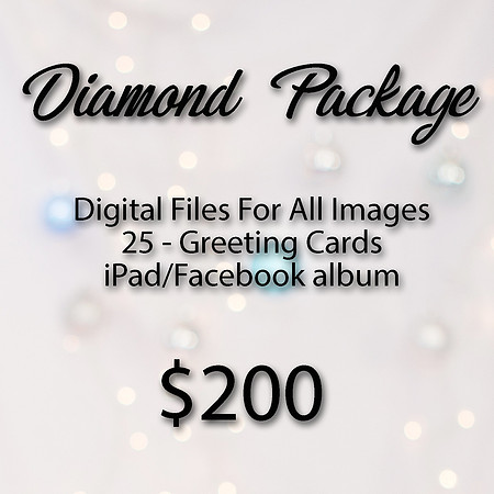 Purchase the Diamond Package