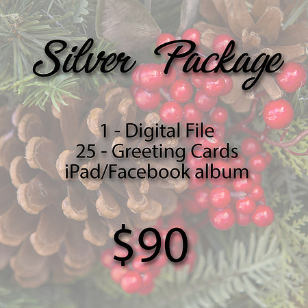 Purchase the Silver Package